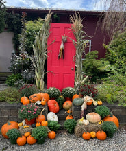 Load image into Gallery viewer, Grand Autumn Collection