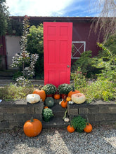 Load image into Gallery viewer, Cozy Corner Collection
